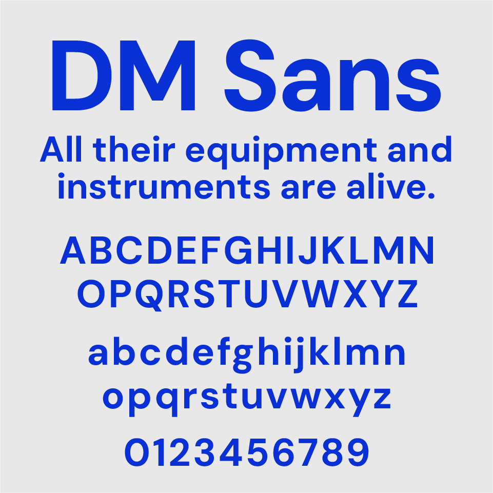DM Sans Font