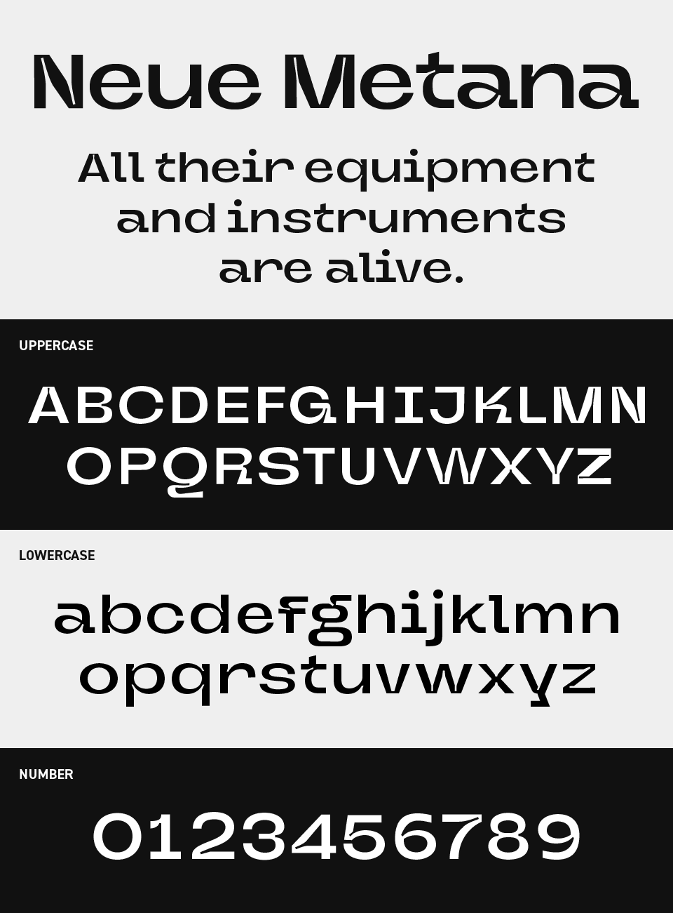 Neue Metana Next Font