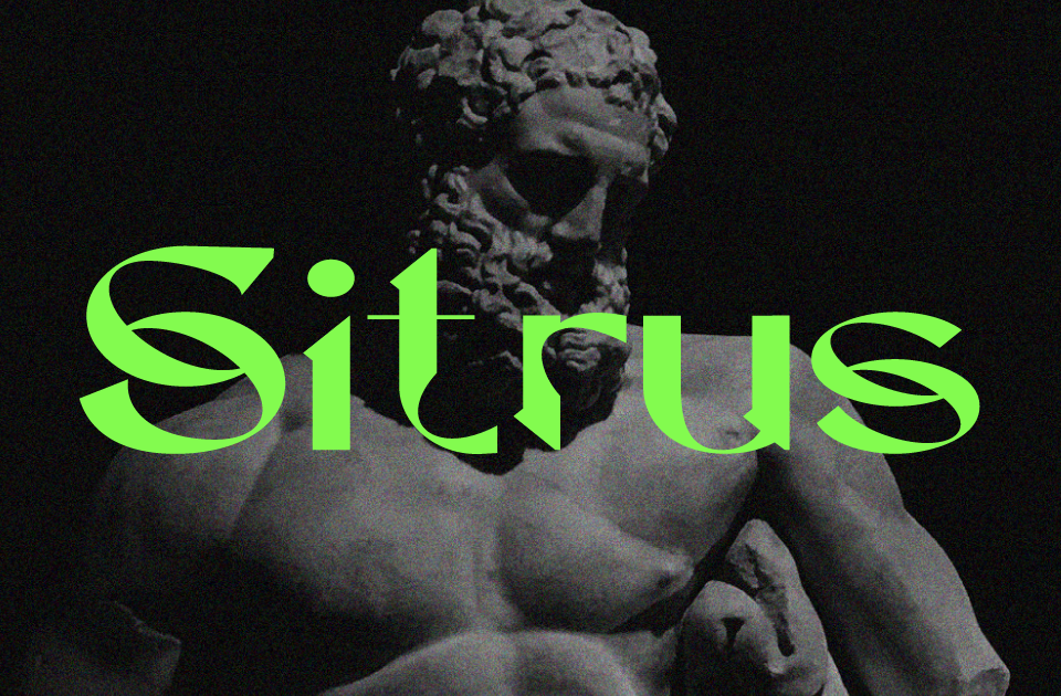 Dx Sitrus Font