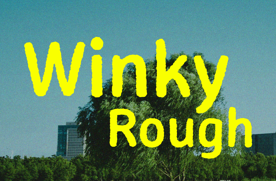 Winky Rough Font