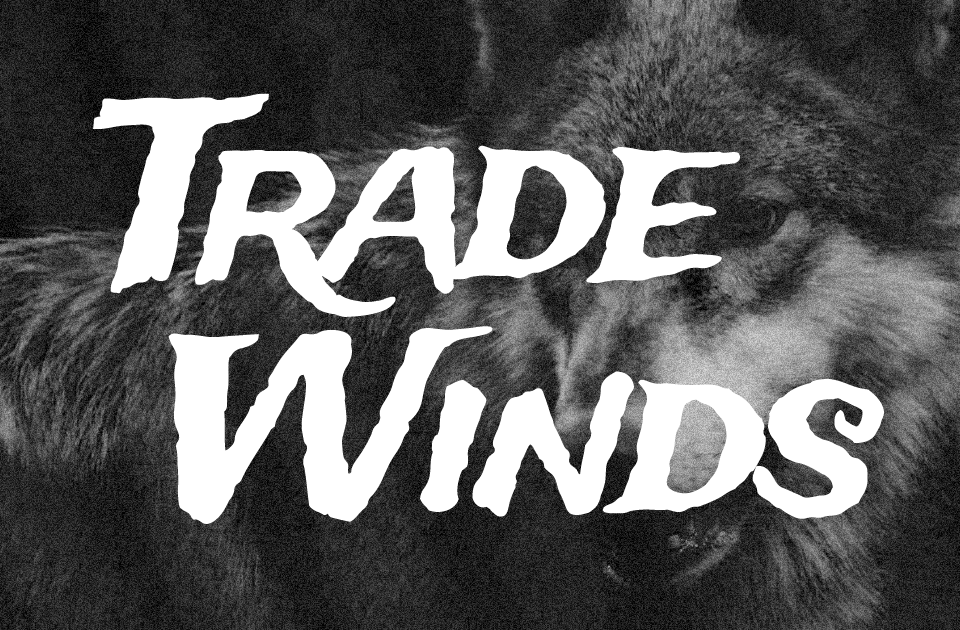 Trade Winds Font
