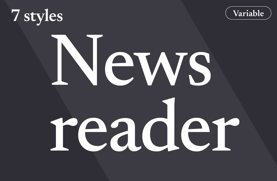 Newsreader Font