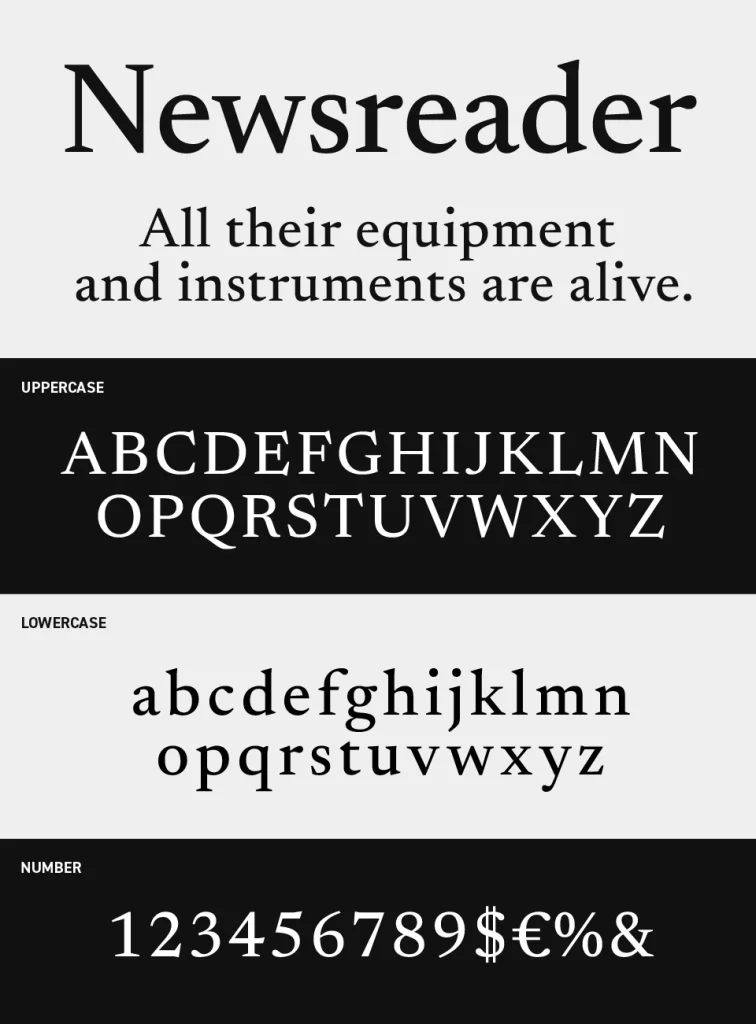 Newsreader Font