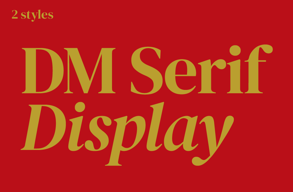 DM Serif Display Font