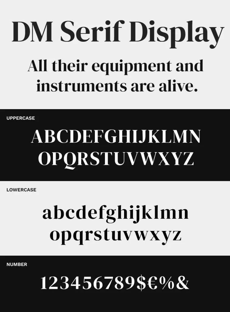 DM Serif Display Font