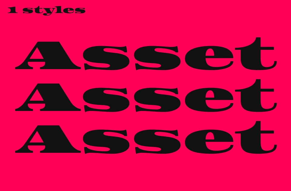 Asset Font