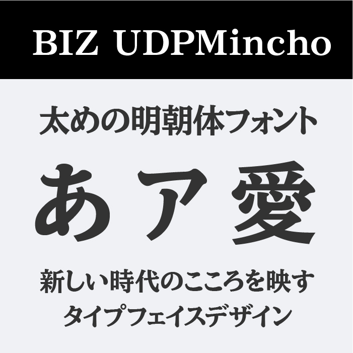 BIZ UDPMincho